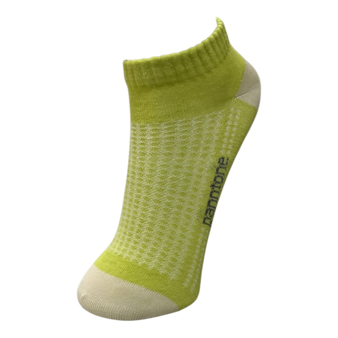 Newborn Socquette Socks