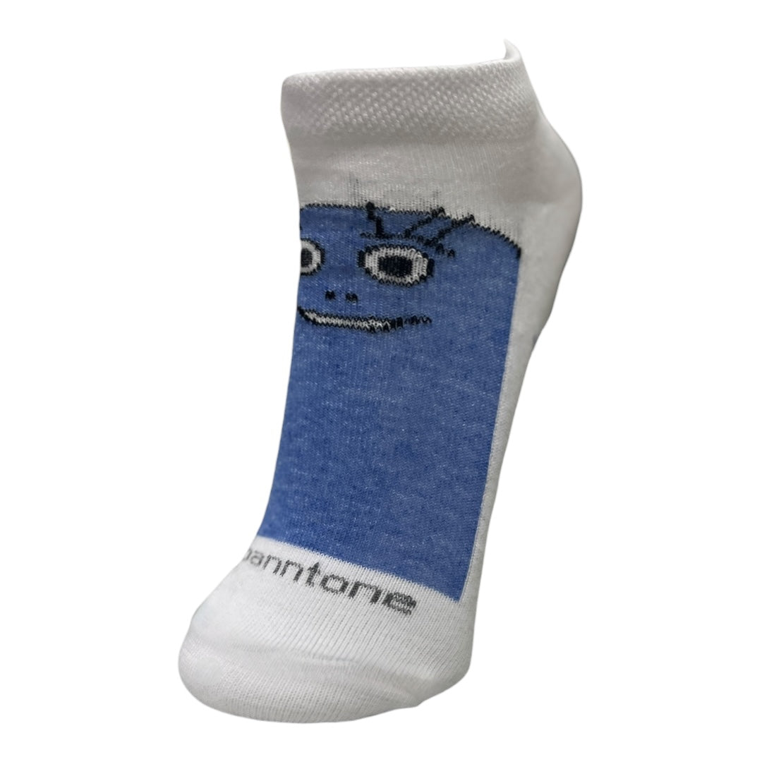 Newborn Socquette Socks